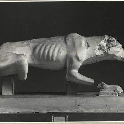 calco di scultura Statua di cane 127 photo