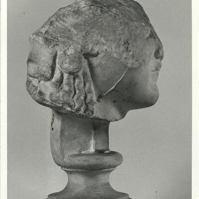 calco di scultura Testa di Atena 142 photo