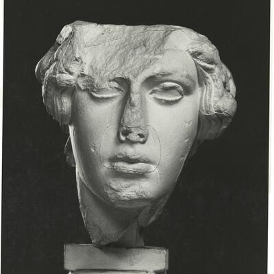 calco di scultura Testa di Atena 273 photo