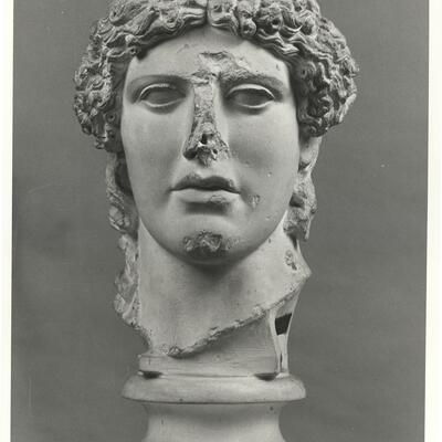 calco di scultura Testa di Apollo tipo Kassel 291 photo