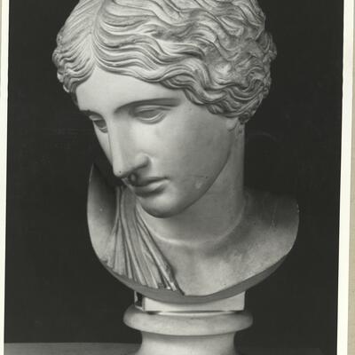 calco di scultura Testa dell'Amazzone tipo Sosikles 301 photo