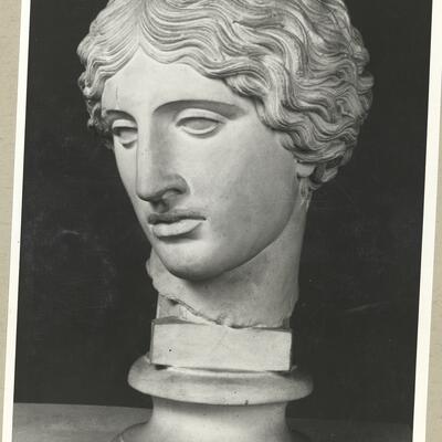 calco di scultura Testa dell'Amazzone tipo Mattei 302 photo