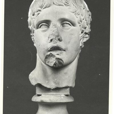 calco di scultura Testa del Doriforo 313 photo