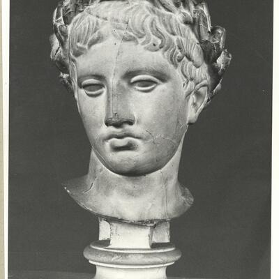 calco di scultura Gruppo di S. Ildefonso part. della testa 314 photo