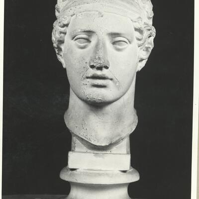 calco di scultura Testa del tipo della c.d. Saffo 348 photo