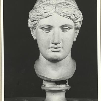 calco di scultura Testa femminile 350 photo