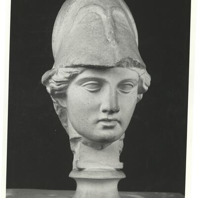 calco di scultura Testa di Atena 361 photo