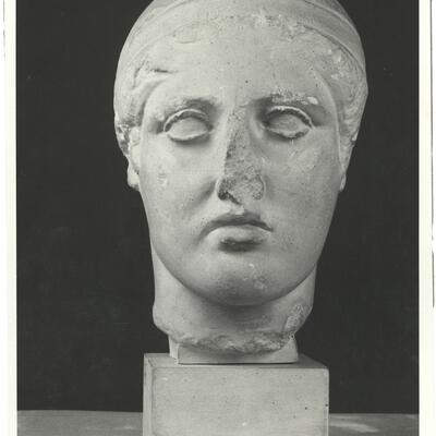 calco di scultura Testa di giovane 367 photo