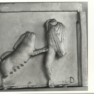 calco di scultura Metopa del lato Nord dell'Ephaisteion: Teseo e la scrofa di Crommion 401 photo