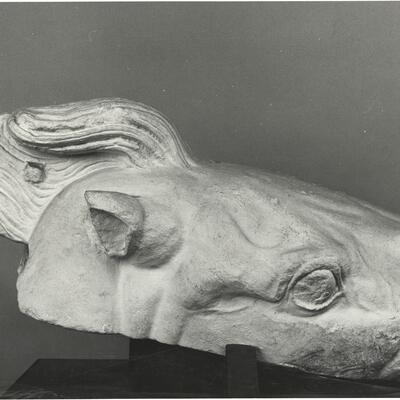 calco di scultura Testa di cavallo. Vaticano, Sala degli Originali Greci. 516 photo