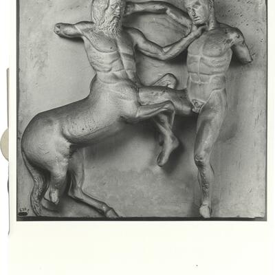 calco di scultura Lapita e Centauro, metopa XXXI del lato Sud del Partenone 520 photo
