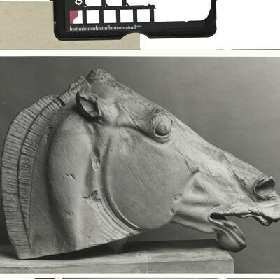 calco di scultura Testa di cavallo dalla quadriga di Selene dal frontone Est del Partenone 539 photo