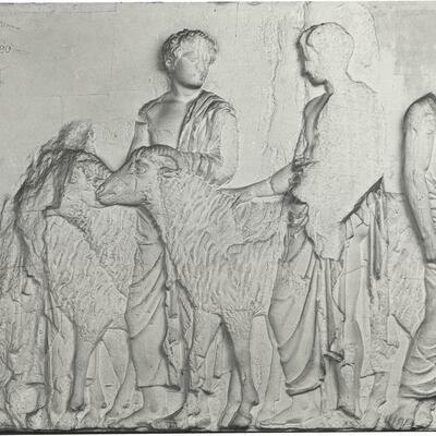 calco di scultura Efebi che portano arieti al sacrificio: fregio del lato Nord del Partenone 546 photo