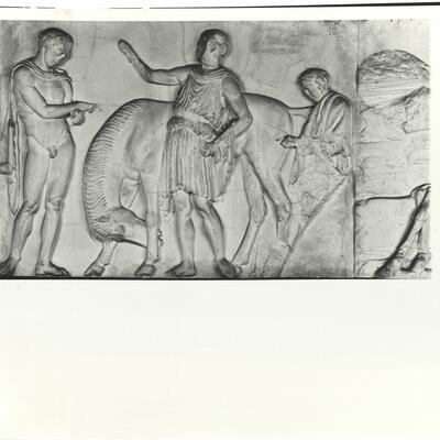 calco di scultura Cavalieri, fregio lato Ovest del Partenone 556 photo