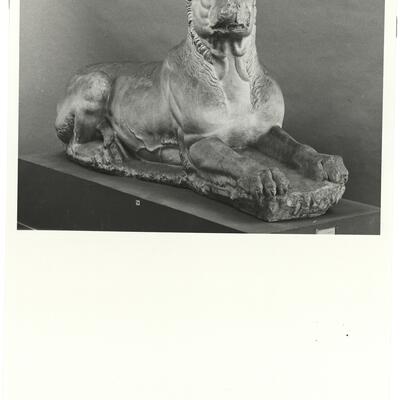 calco di scultura Molosso del monumento funerario di Lysimachides 631 photo