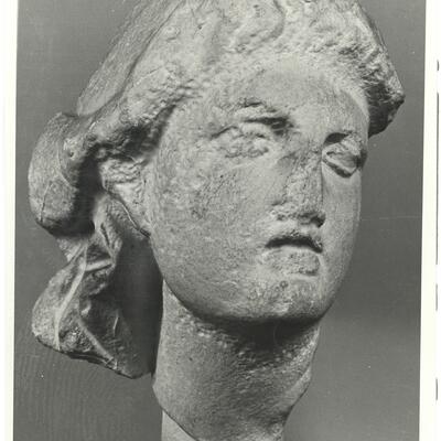 calco di scultura Testa femminile 645 photo