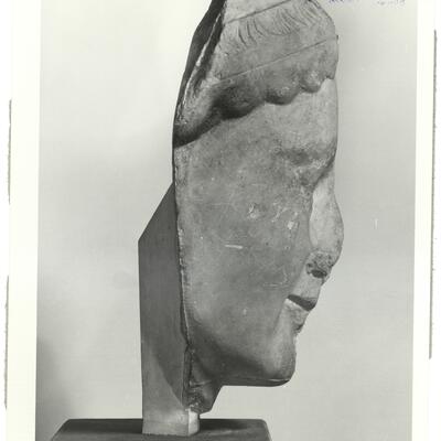 calco di scultura Testa di kouros da Egina 64 photo