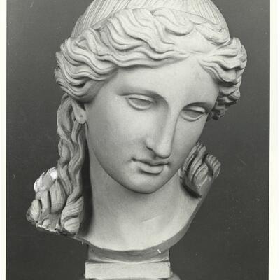 calco di scultura Testa di Eirene 664 photo
