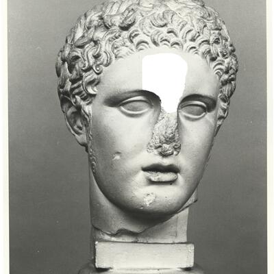calco di scultura Testa maschile (c.d. Ermes tipo Richelieu) 684 photo