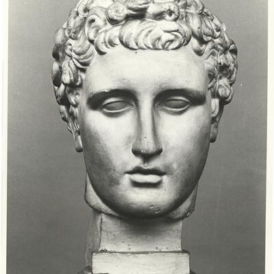 calco di scultura Testa dell’Ermes del Belvedere (c.d. Antinoo) 685 photo