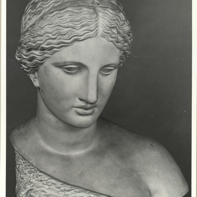 calco di scultura Busto di Afrodite da Arles 720 photo