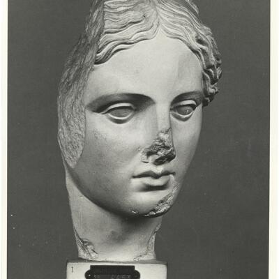 calco di scultura Testa di Apollo Sauroctono 723 photo