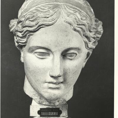 calco di scultura Testa emendata dell’Apollo Sauroctono dal Palatino 724 photo