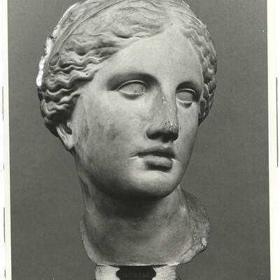 calco di scultura Testa di Afrodite, c.d. “Testa Kaufmann” 727 photo