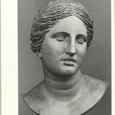 calco di scultura Testa dell’Afrodite Cnidia (tipo Belvedere) 731 photo