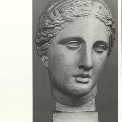 calco di scultura Testa dell’Afrodite Cnidia (tipo Colonna) 732 photo