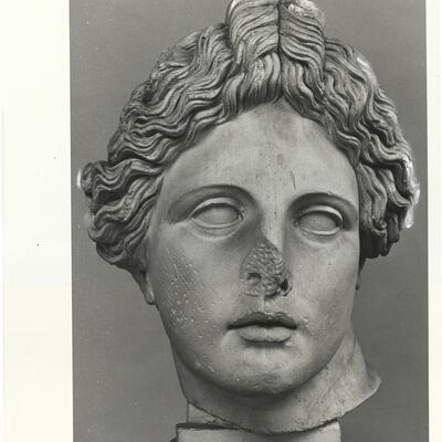 calco di scultura Testa di Apollo Liceo 737 photo