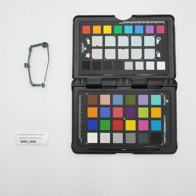 fibula ad arco con cartigli MAEI_00026 photo