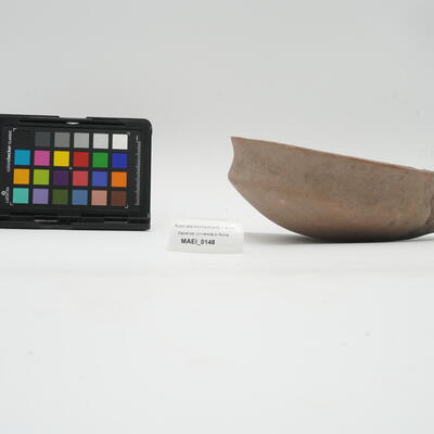 tazza MAEI_00148 photo