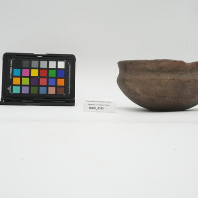 tazza MAEI_00153 photo