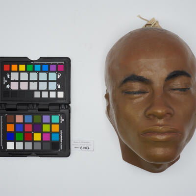 Calco facciale (maschera facciale antropologica) 6007 photo