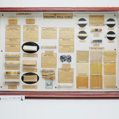 Teca didattica Industria della carta P0002 photo