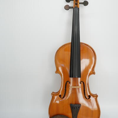 Violino S514 photo