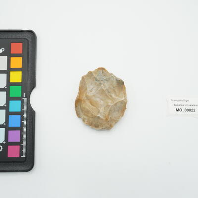 nucleo discoidale 22 photo