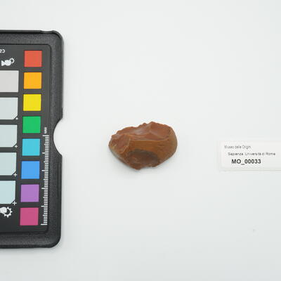 grattatoio denticolato carenoide 33 photo