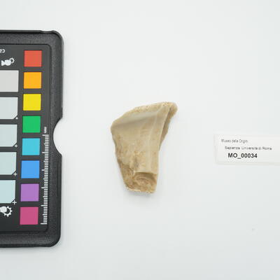raschiatoio carenoide 34 photo