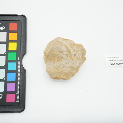 Nucleo Levallois 44 photo