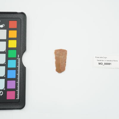 raschiatoio denticolato piatto 81 photo