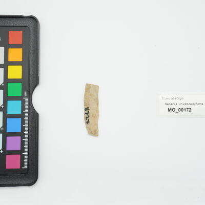 lama 172 photo