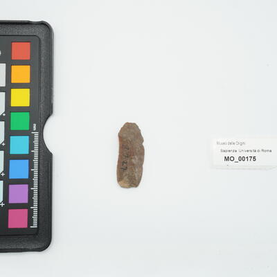 lama 175 photo