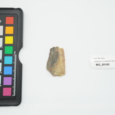 lama 193 photo
