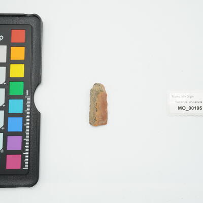 lama 195 photo