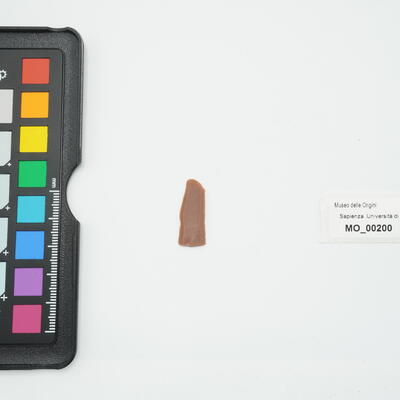 lama 200 photo