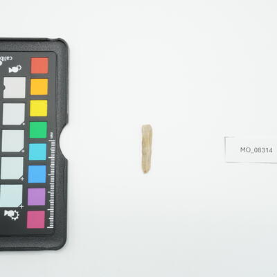 Lama a dorso 8314 photo