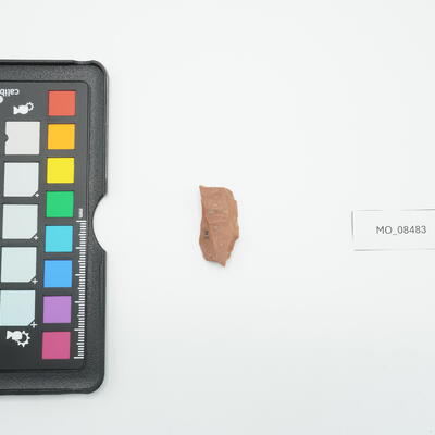 Bulino su frattura 8483 photo