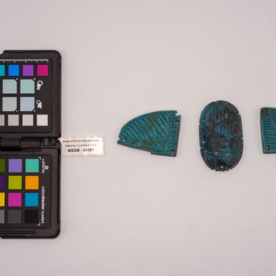 scarabeo alato 00101 photo